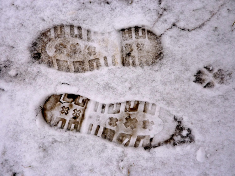 footprints going opposite directions
